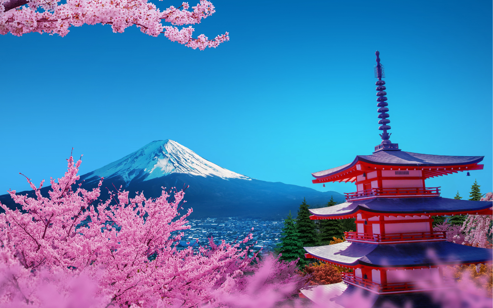 Japonya'da Sakura Sezonu: Kiraz Çiçeklerini Görme Mekanları ve